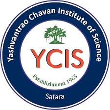YCIS
