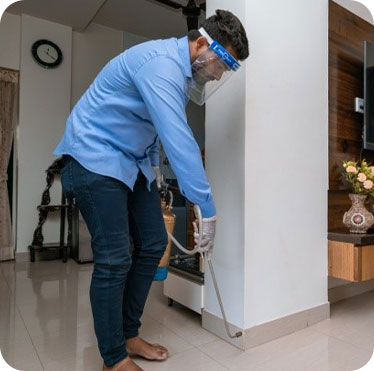 Pest control treatment in Maharashtra — Pied Pipper