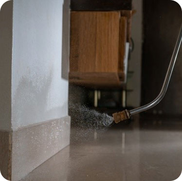 Pest control treatment in Maharashtra — Pied Pipper