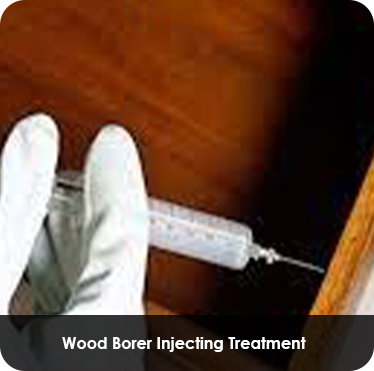 Pest control treatment in Maharashtra — Pied Pipper