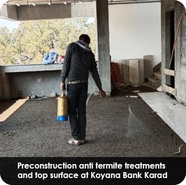 Pest control treatment in Maharashtra — Pied Pipper