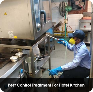 Pest control treatment in Maharashtra — Pied Pipper