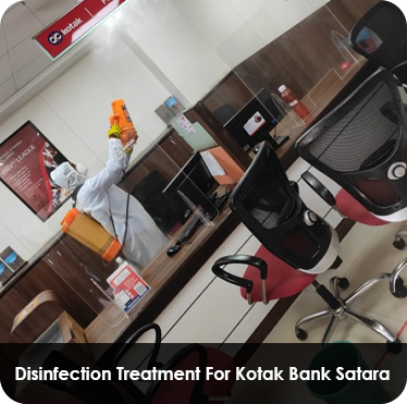 Pest control treatment in Maharashtra — Pied Pipper