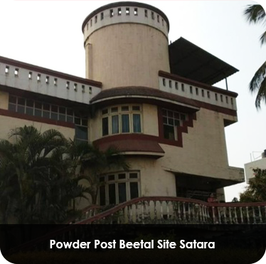 Pest control treatment in Maharashtra — Pied Pipper