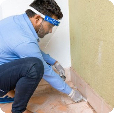Pest control treatment in Maharashtra — Pied Pipper