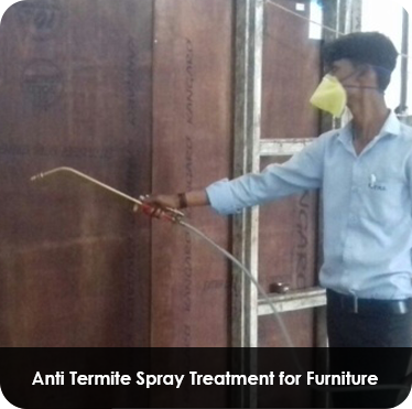 Pest control treatment in Maharashtra — Pied Pipper
