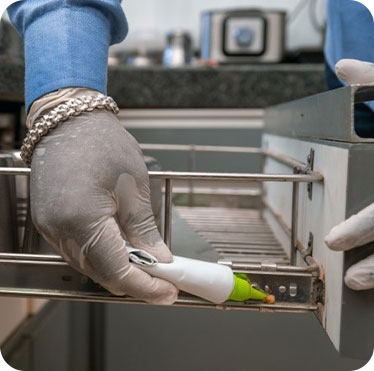 Pest control treatment in Maharashtra — Pied Pipper