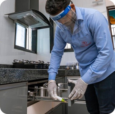 Pest control treatment in Maharashtra — Pied Pipper