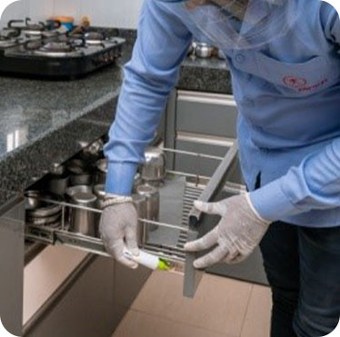 Pest control treatment in Maharashtra — Pied Pipper