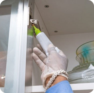 Pest control treatment in Maharashtra — Pied Pipper