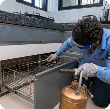 Pest control treatment in Maharashtra — Pied Pipper