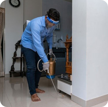 Pest control treatment in Maharashtra — Pied Pipper