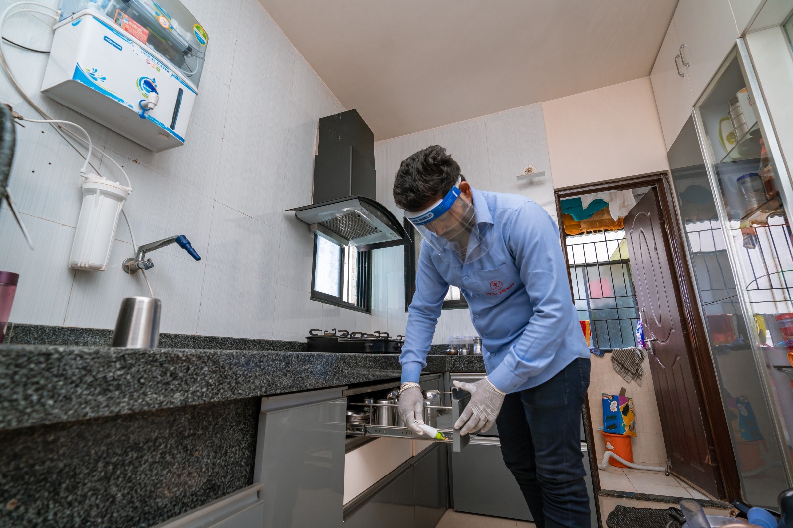 Pest control treatment in Maharashtra — Pied Pipper