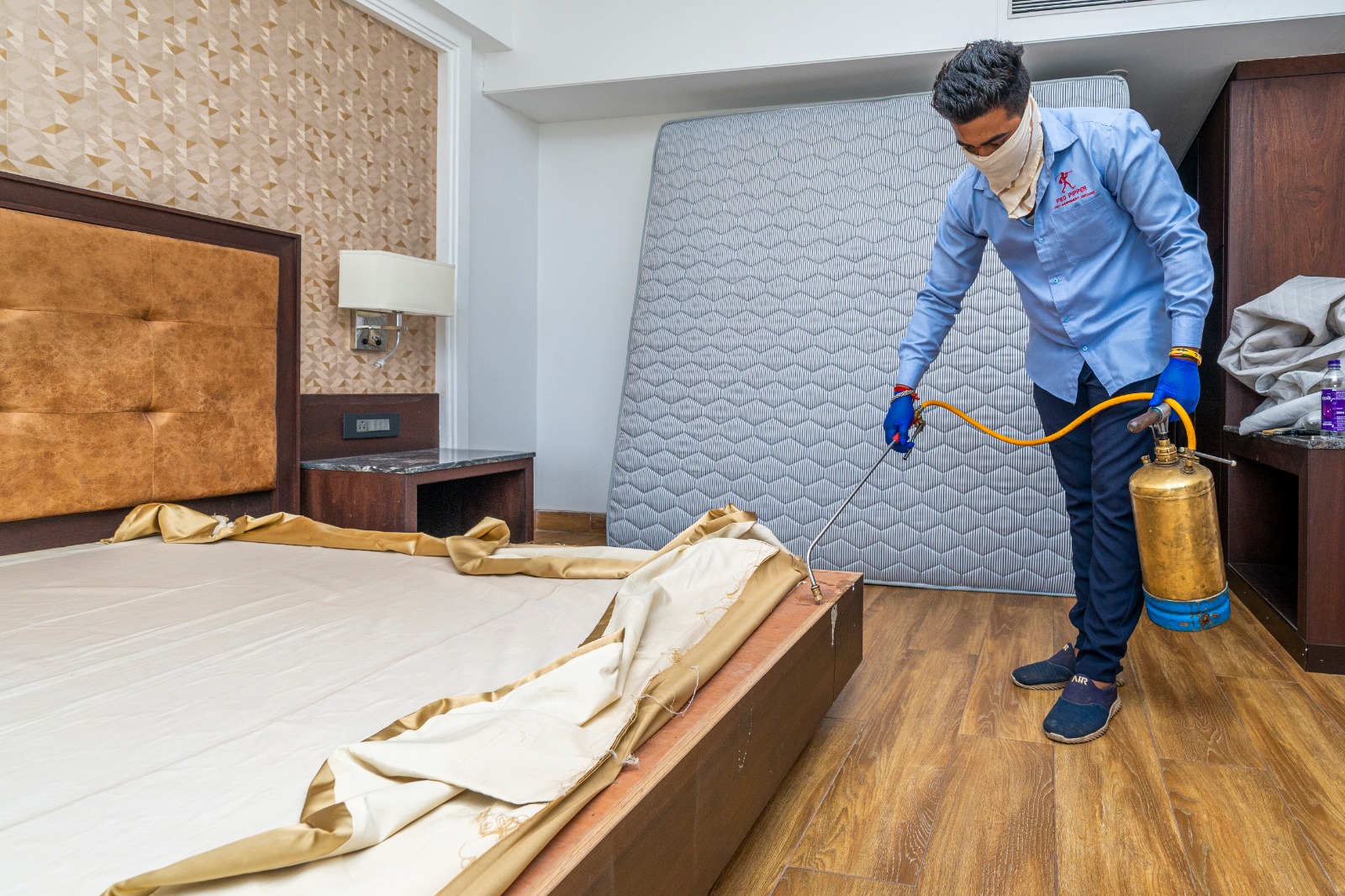 Pest control treatment in Maharashtra — Pied Pipper