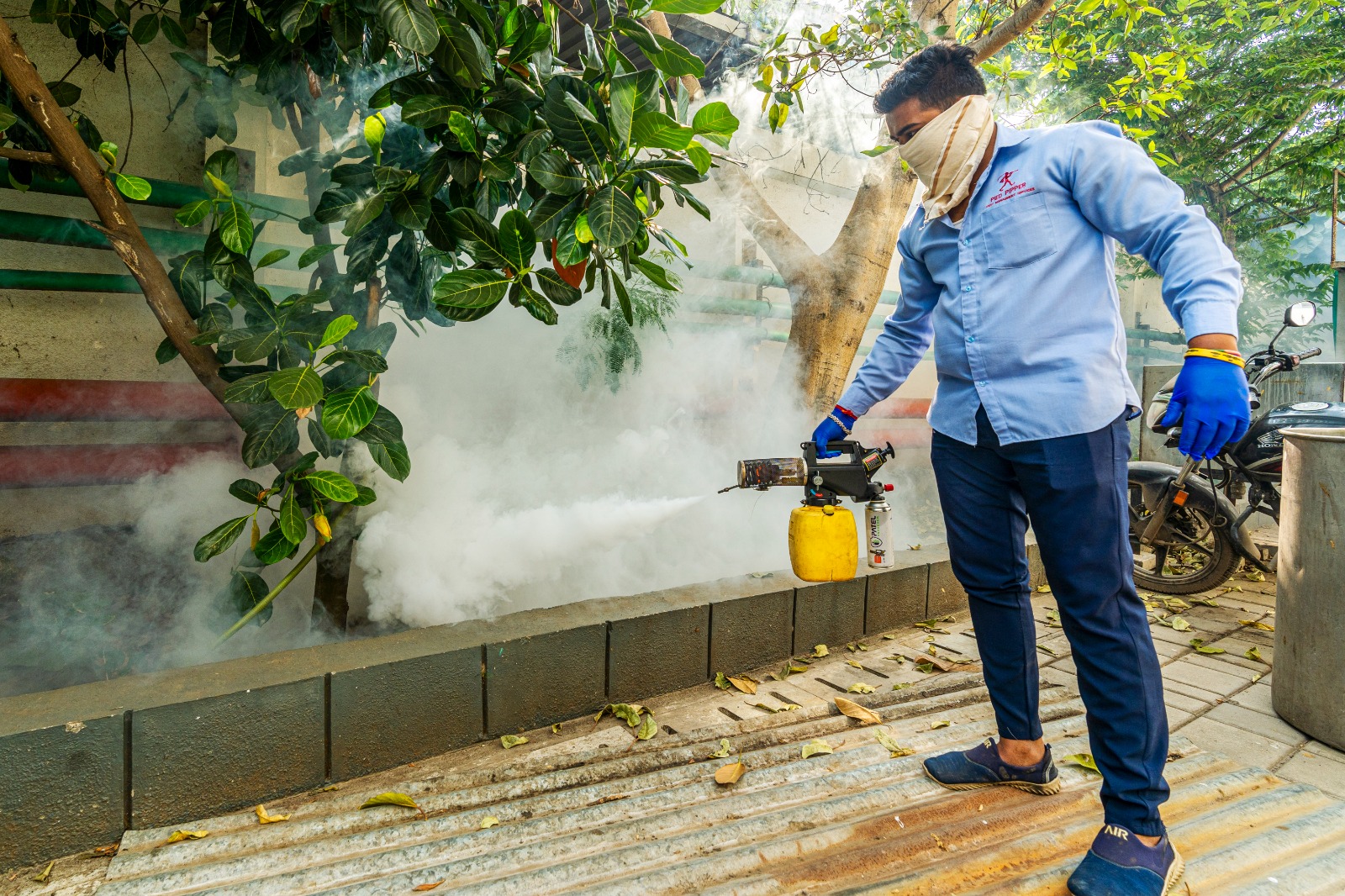 Pest control treatment in Maharashtra — Pied Pipper