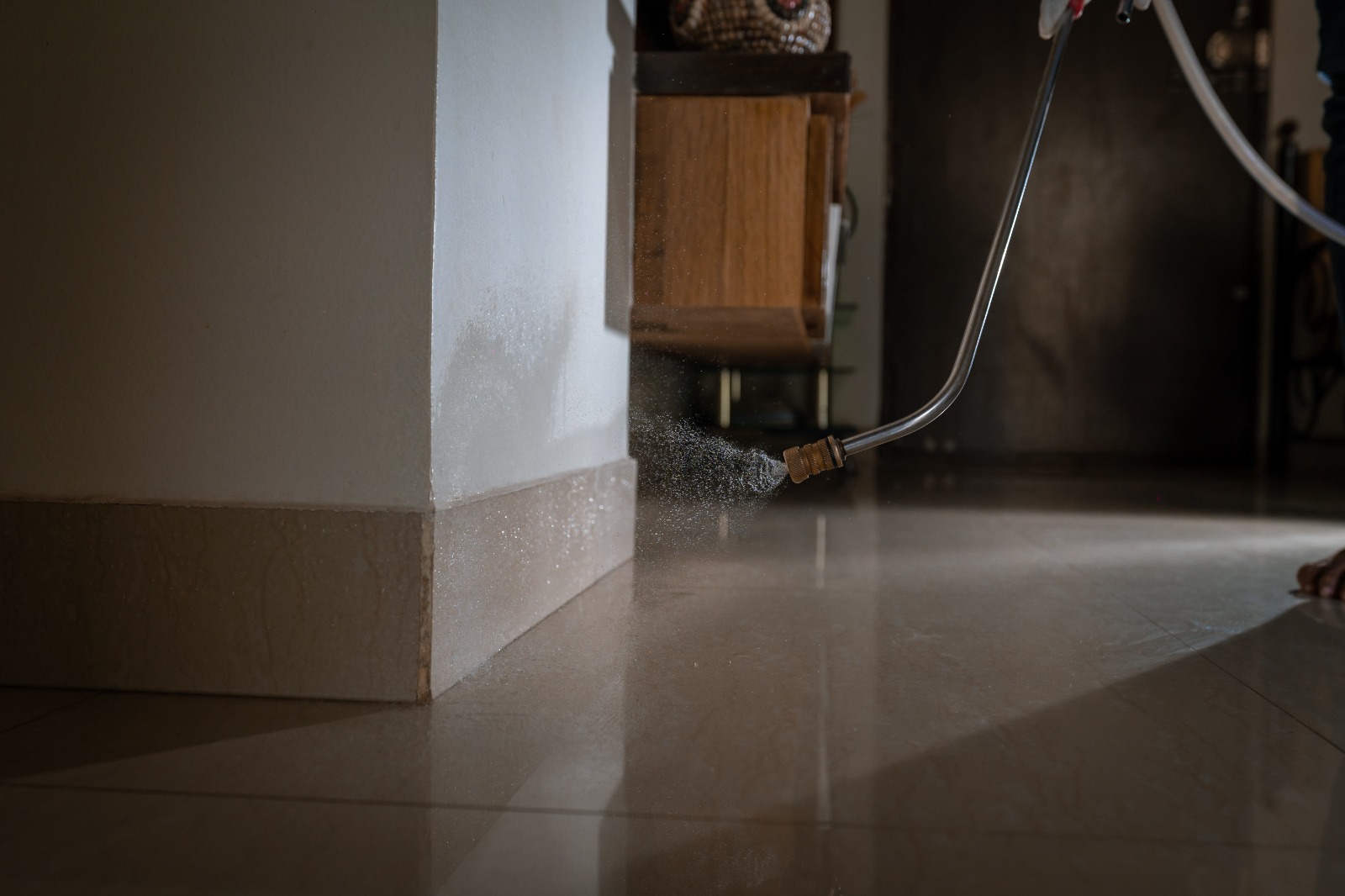 Pest control treatment in Maharashtra — Pied Pipper