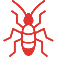 Termite