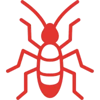 Termite