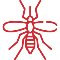Mosquito