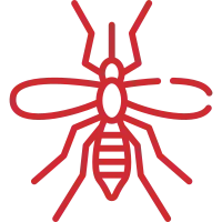 Mosquito