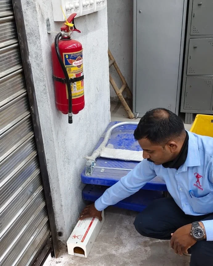Placing a tamper-resistant rodent bait station at a commercial premises — Pied Pipper, Maharashtra