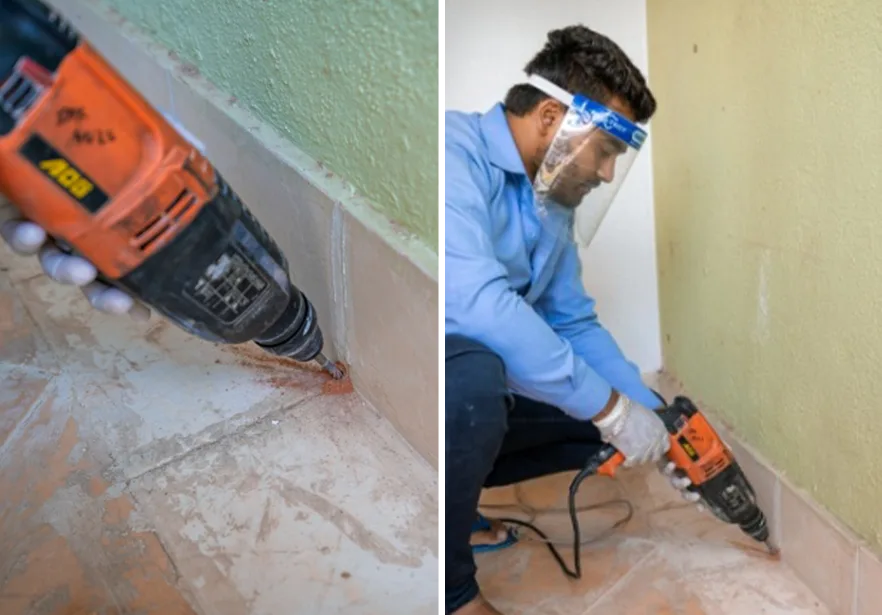 Post-Construction Anti-Termite — Pied Pipper